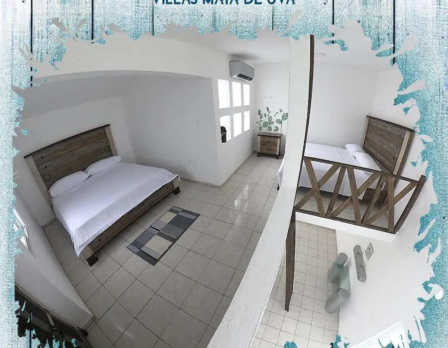Villas Mata De Uva-1